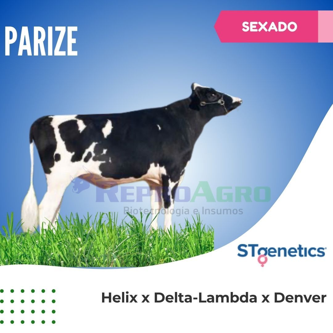 PARIZE SEXADO