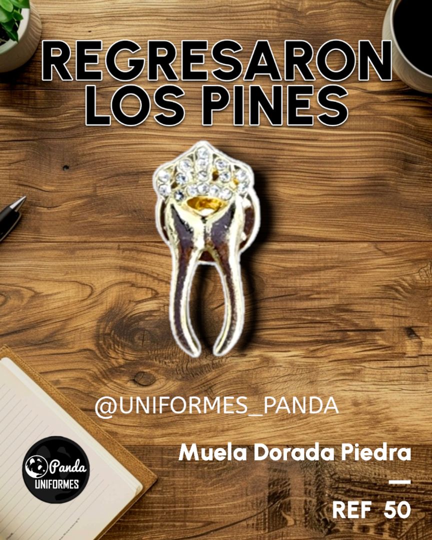  PIN MUELITA