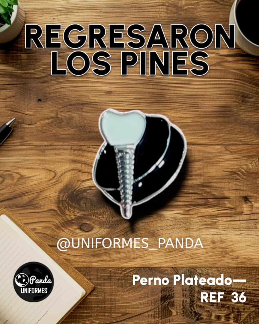  PIN MUELITA