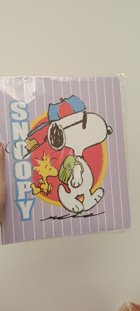Folder snoppy