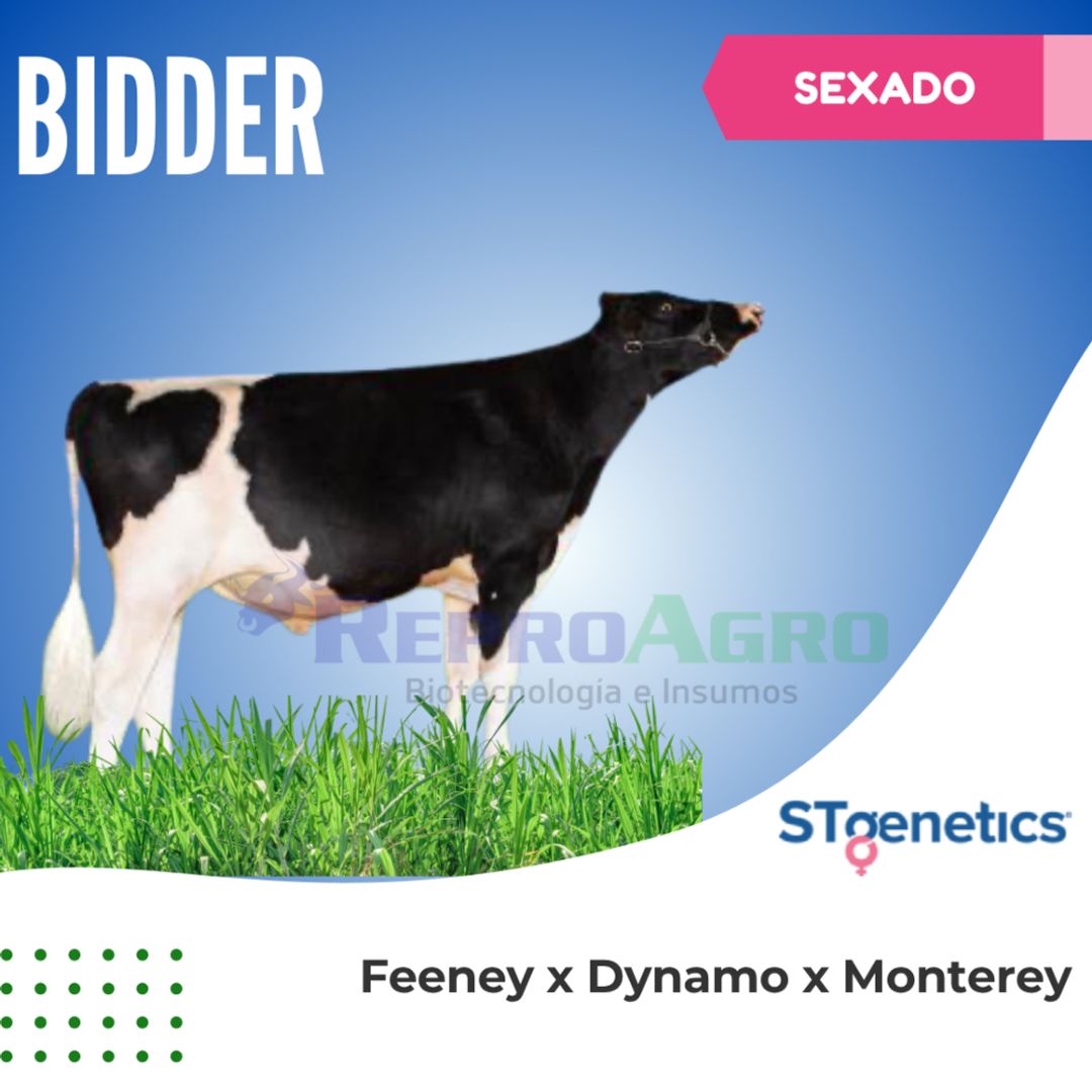 BIDDER SEXADO
