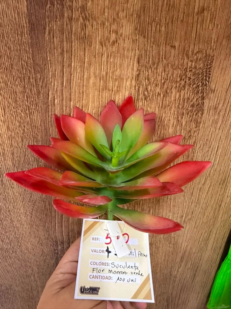 SUCULENTA TIPO FLOR ENVEJECIDA