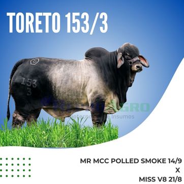 TORETO 153/3 - imagen 1