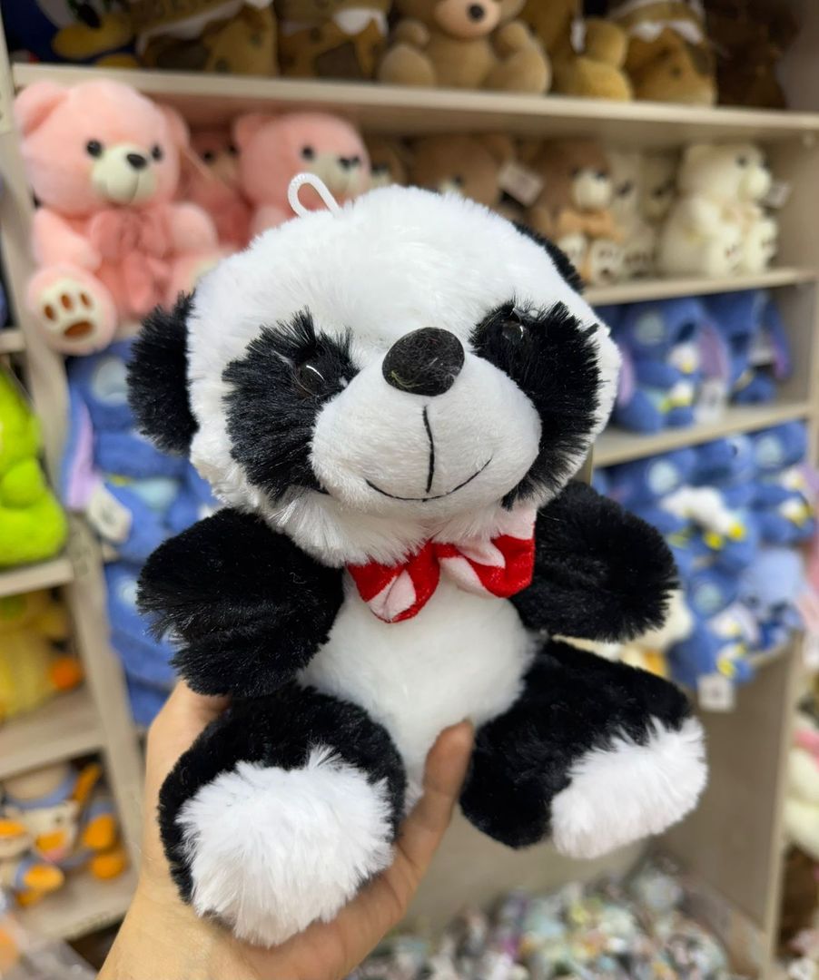 OSO ANCHETERO ANIMALES Y OSOS