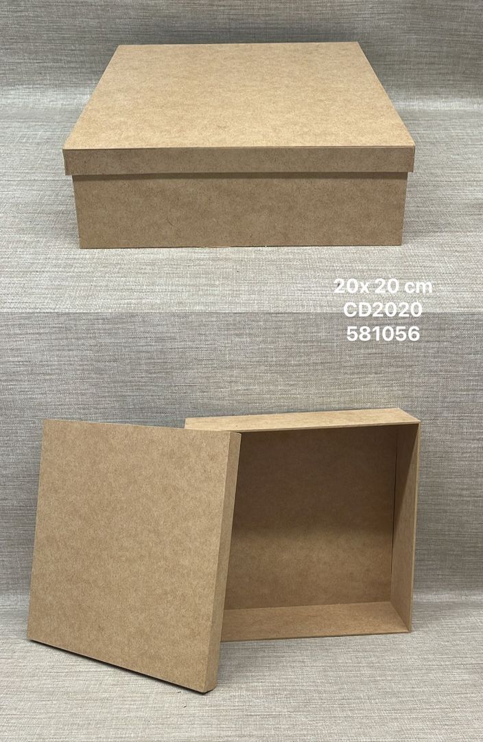CAJA TAPA 20X20