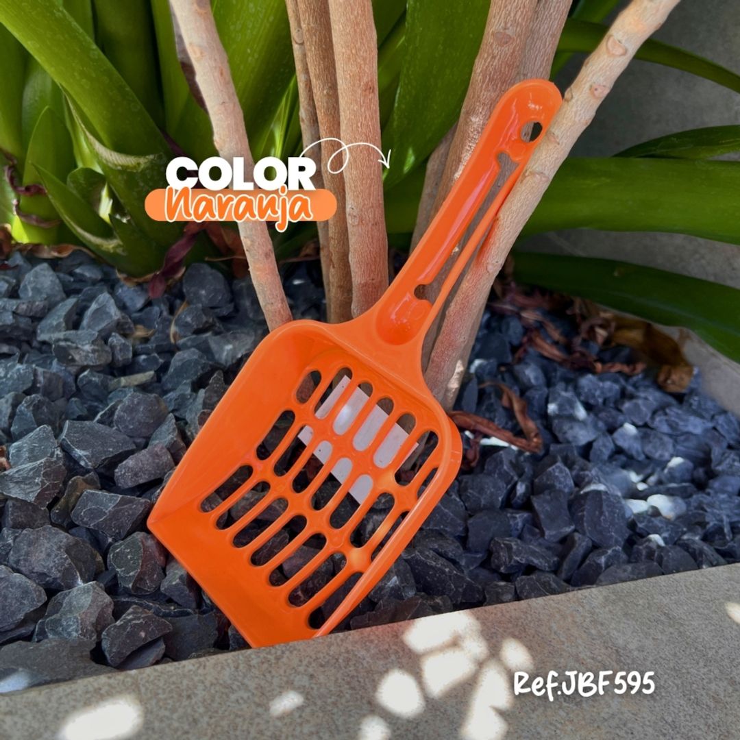 JBF595