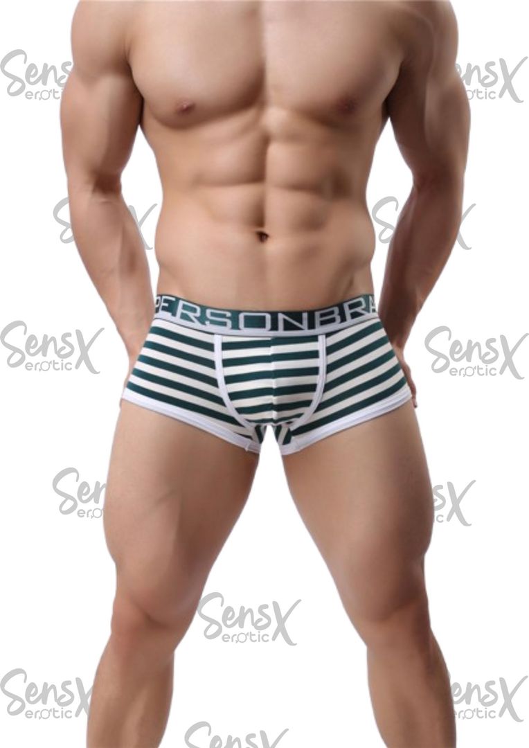 Boxer masculino de la marca BRAVE PERSON