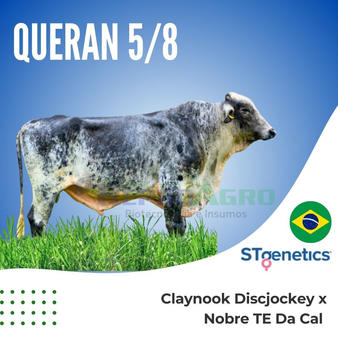 QUERAN