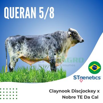 QUERAN - imagen 1