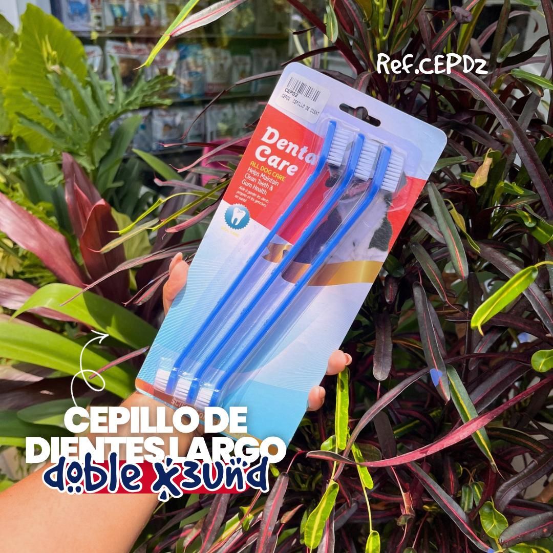 CEPD2