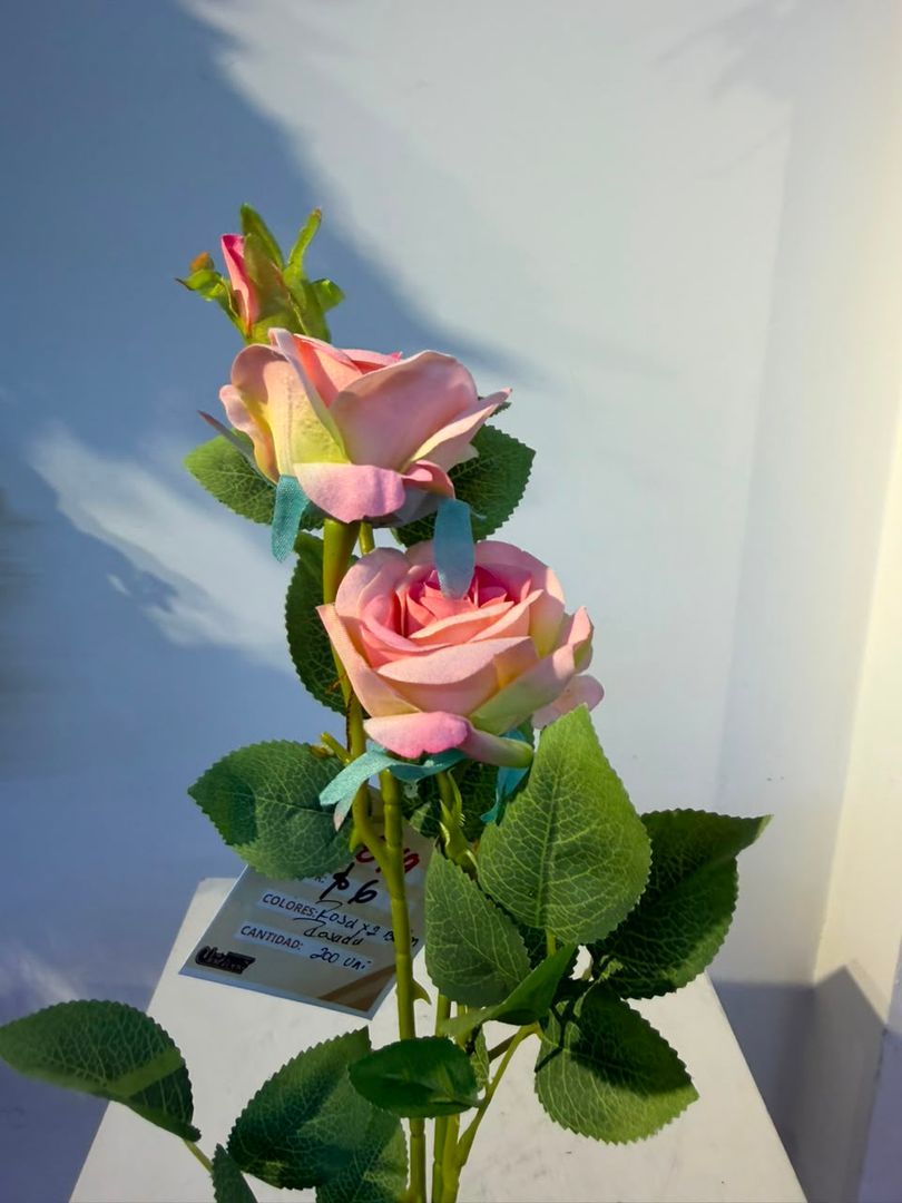 VARA DE ROSA X 2 CON BOTON ROSADA