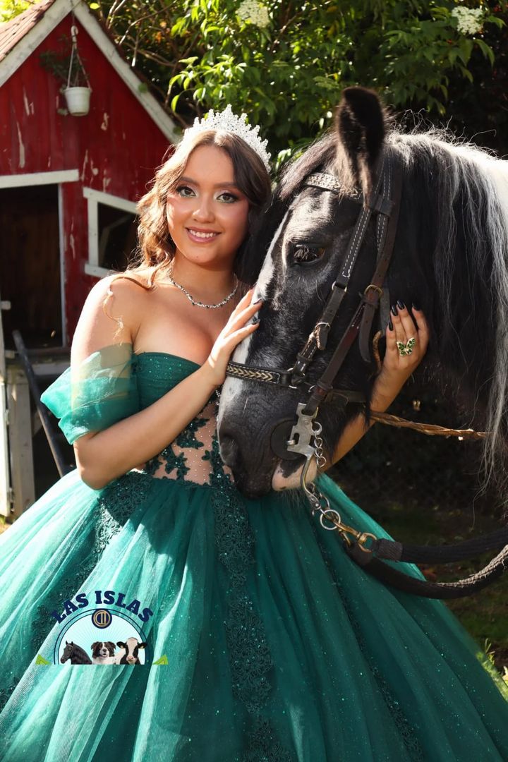 SESION FOTOGRAFICA CON CABALLO