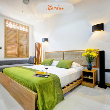 CASA CAROLINA - imagen 3