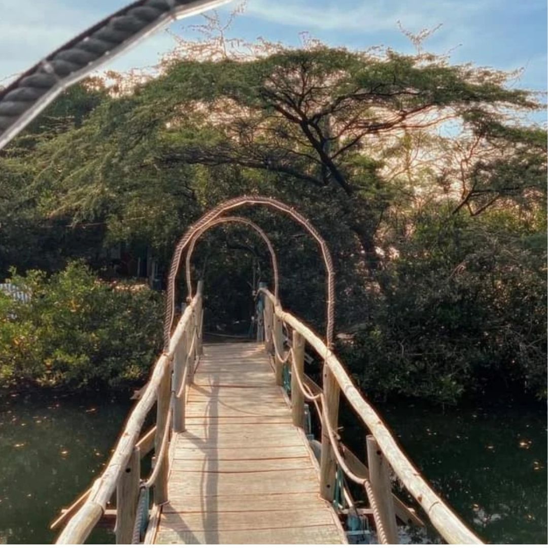 PLAYA DEL RITMO BEACH HOSTEL 