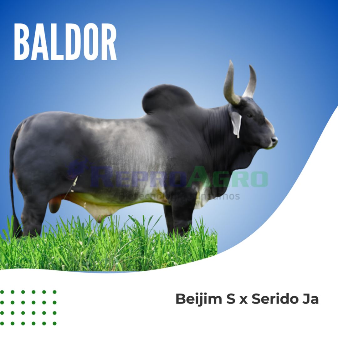 BALDOR