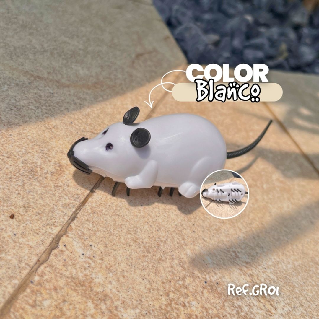 GR01