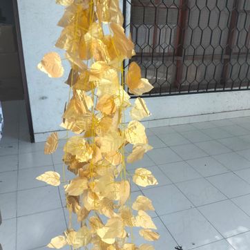 Imagen del producto HIEDRAS DORADAS 