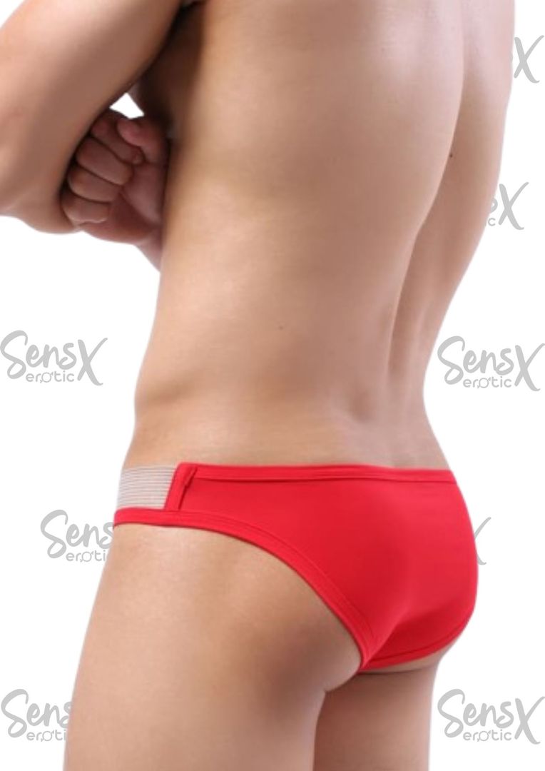Ropa interior sexy tanga de seda de hielo para hombre, bragas con espalda en T