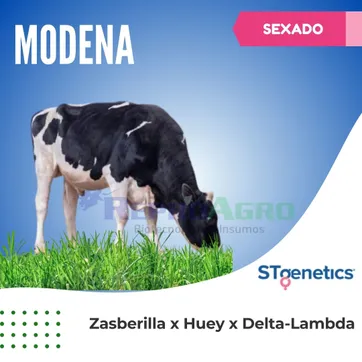 MODENA SEXADO - imagen 1