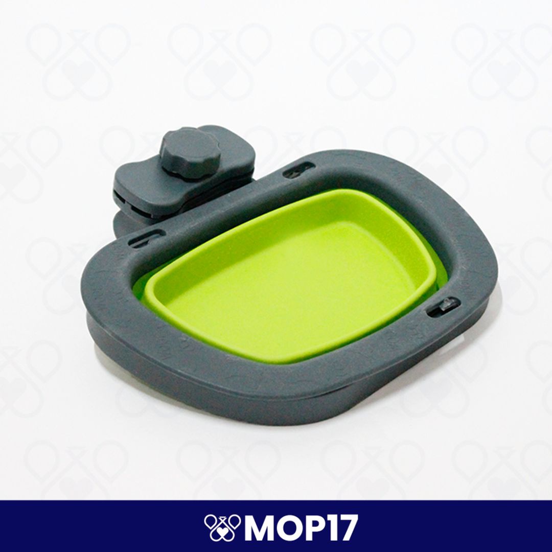 MOP17