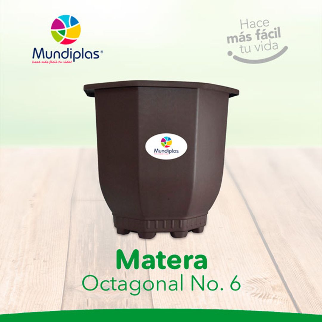 MATERA OCTAGONAL #6 MUNDIPLAS MT4487 0079 