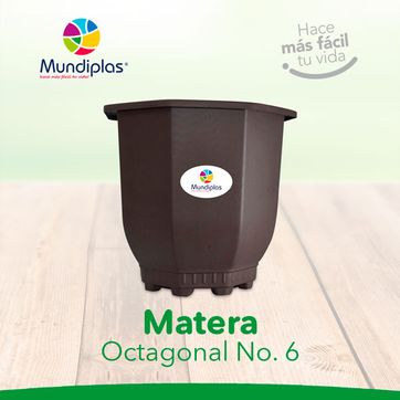 MATERA OCTAGONAL #6 MUNDIPLAS MT4487 0079  - imagen 1