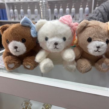 Imagen del producto Oso llaveros 