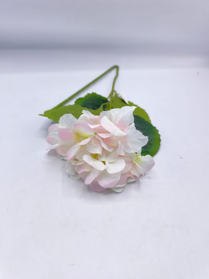 HORTENCIA INDIVIDUAL TG 664