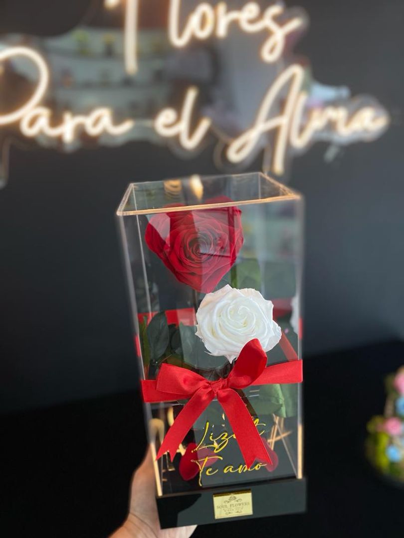 SOLITARIO MY LOVE DUO