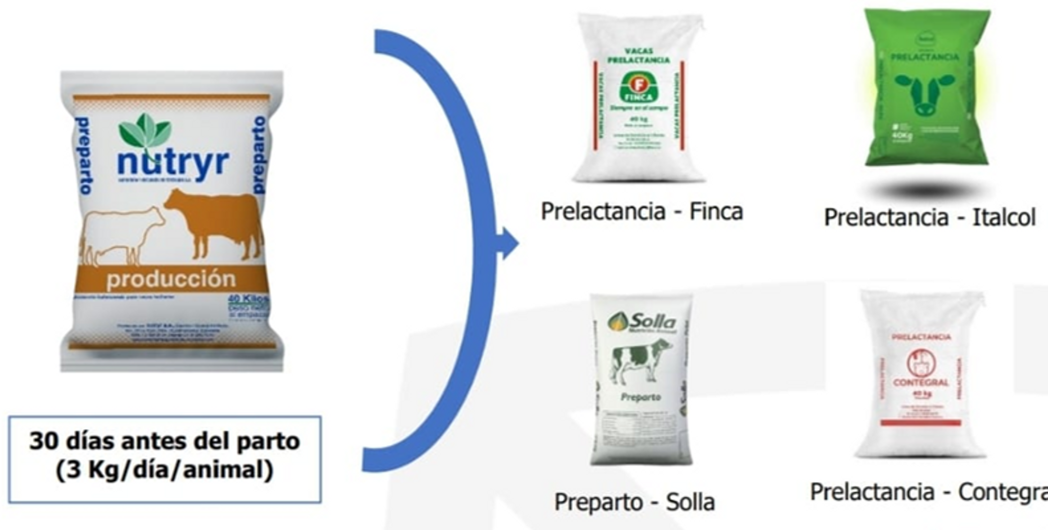 NUTRYR PREPARTO PRELACTANCIA  40 Kilos