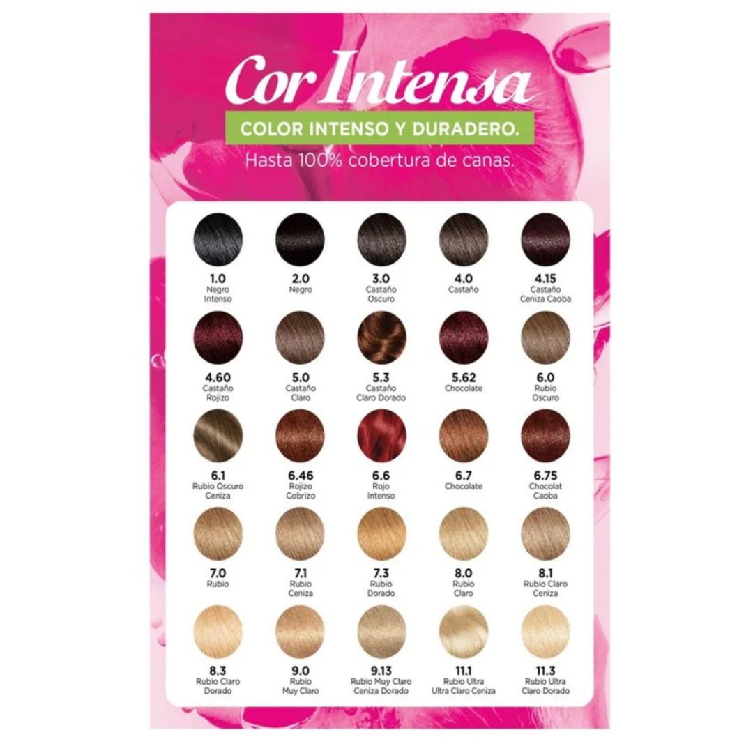 TINTE COLOR INTENSA GARNIER