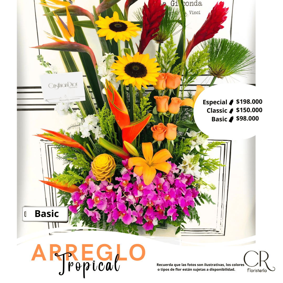 Arreglo Tropical