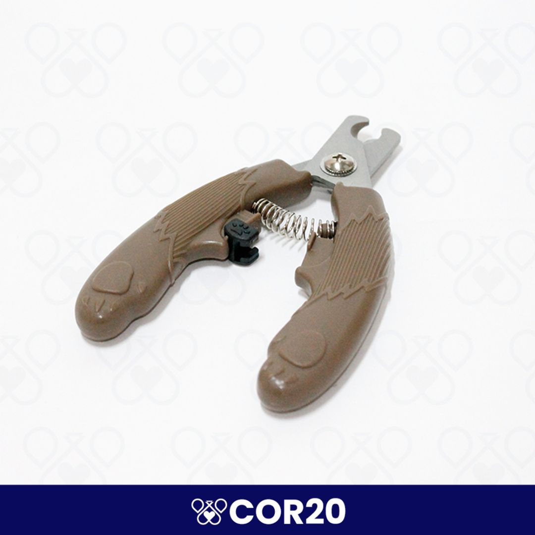 COR20