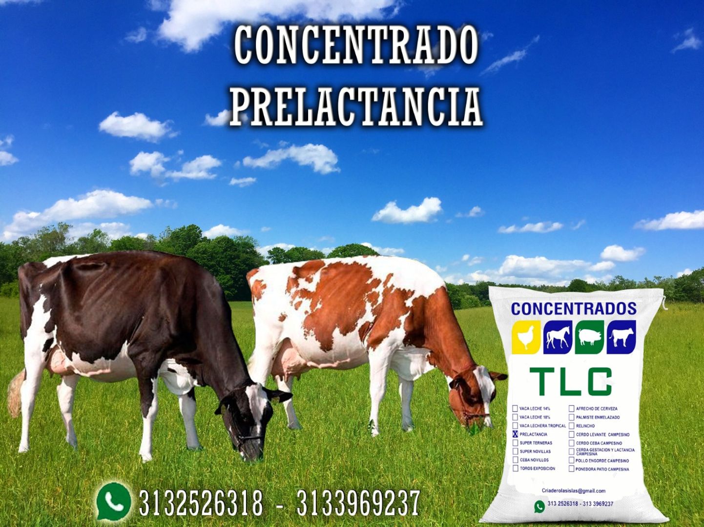 PRELACTANCIA TLC 40 Kilos