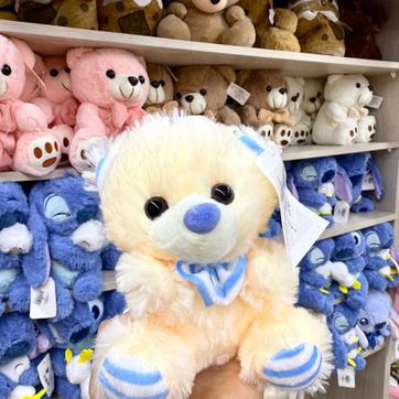 OSO ANCHETERO PEQ - imagen 1