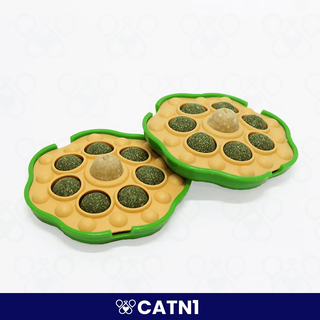CATN1