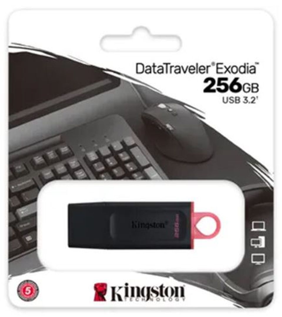 Memoria USB 256GB