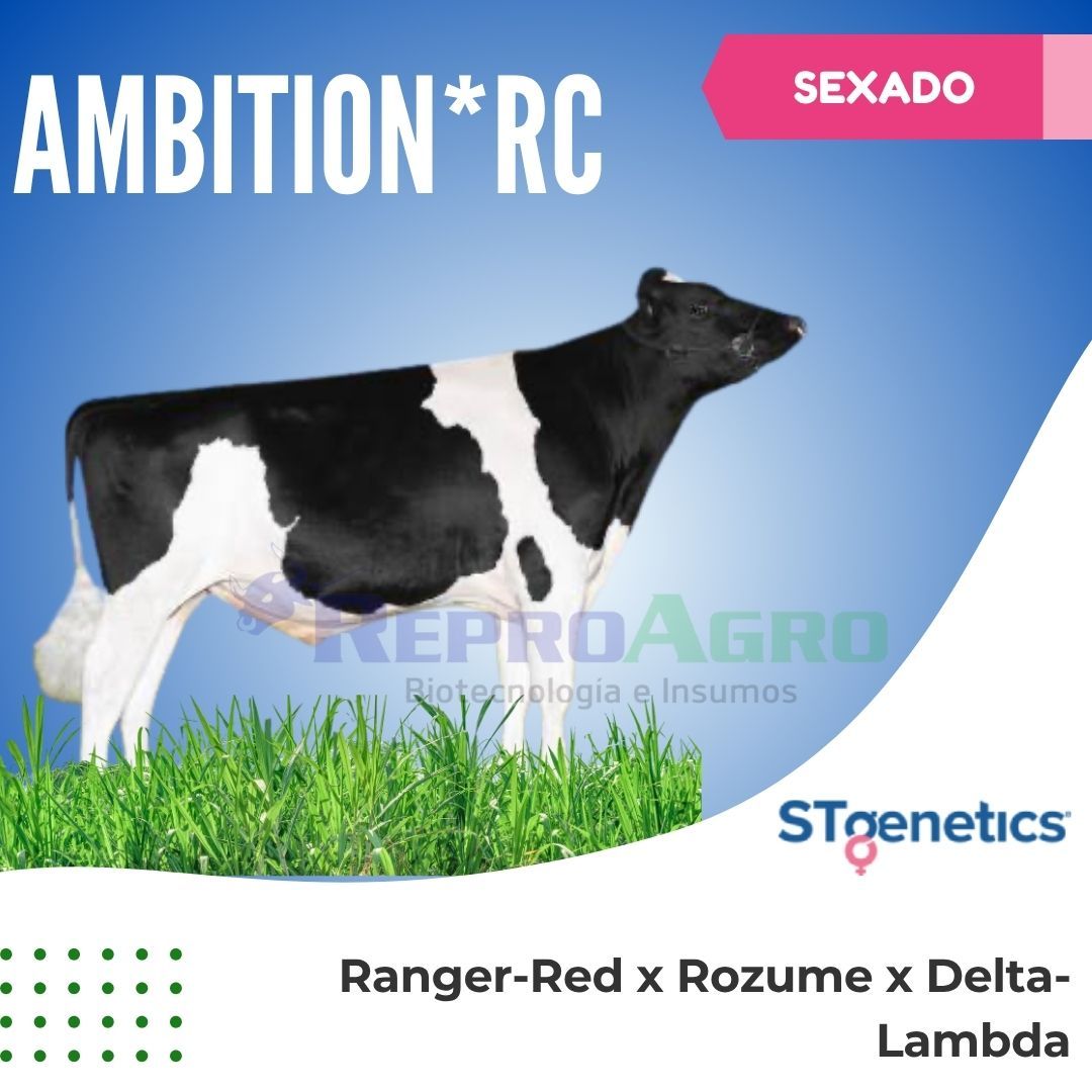 AMBITION*RC SEXADO