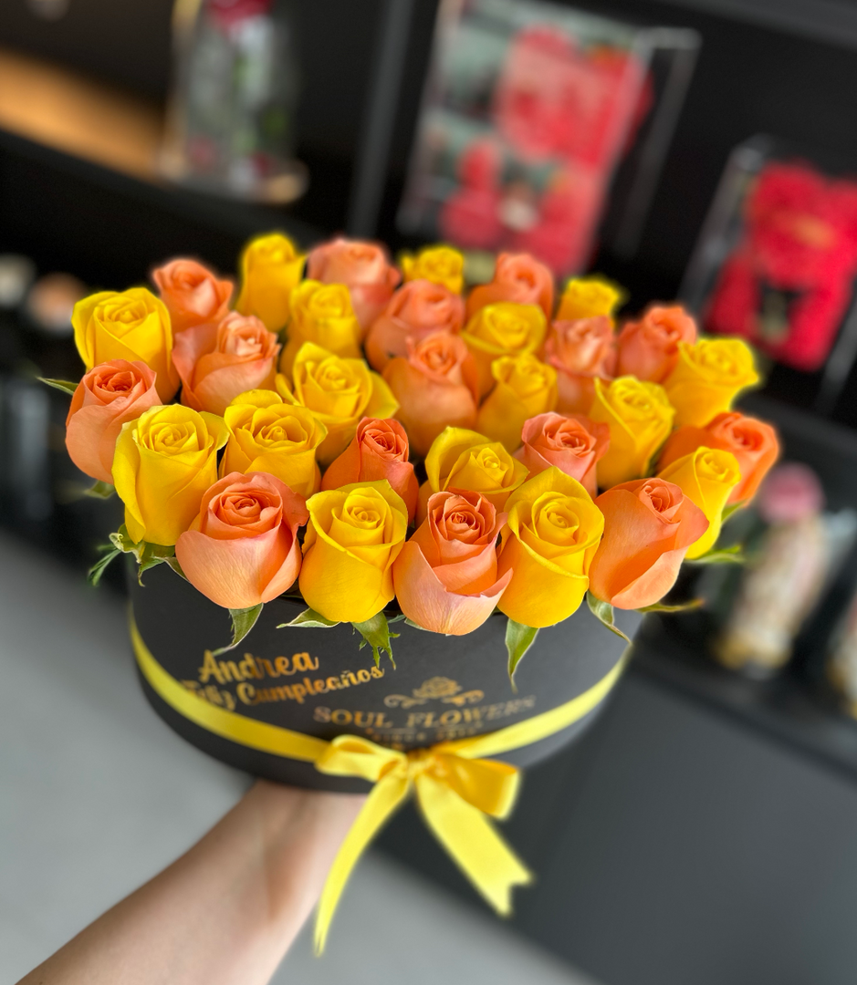 CAJA OVALADA FREESIA