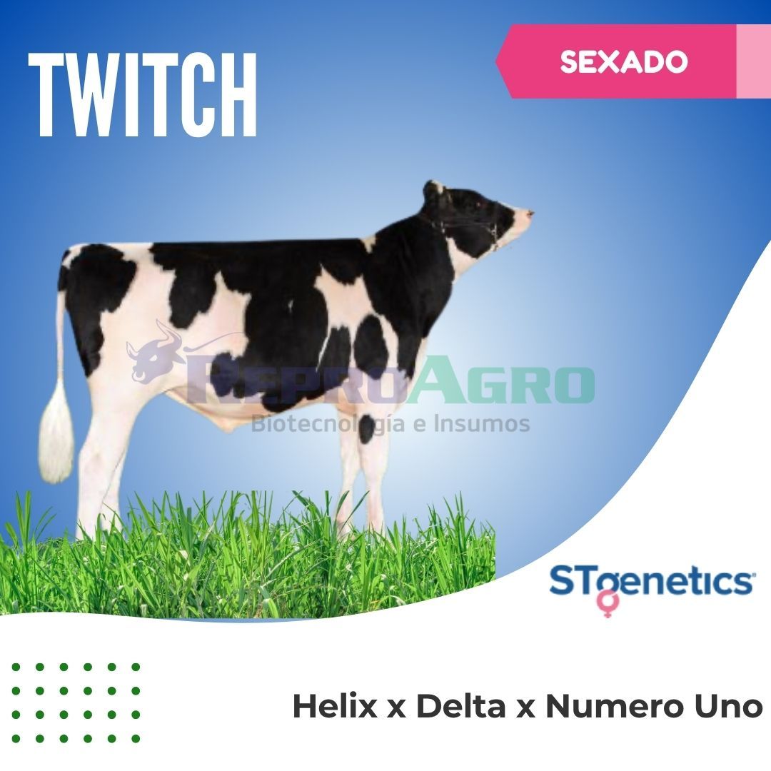 TWITCH SEXADO