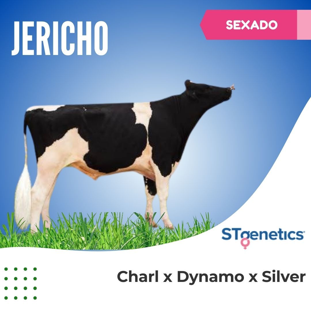 JERICHO SEXADO