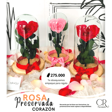 Rosa Preservada Corazón - imagen 1