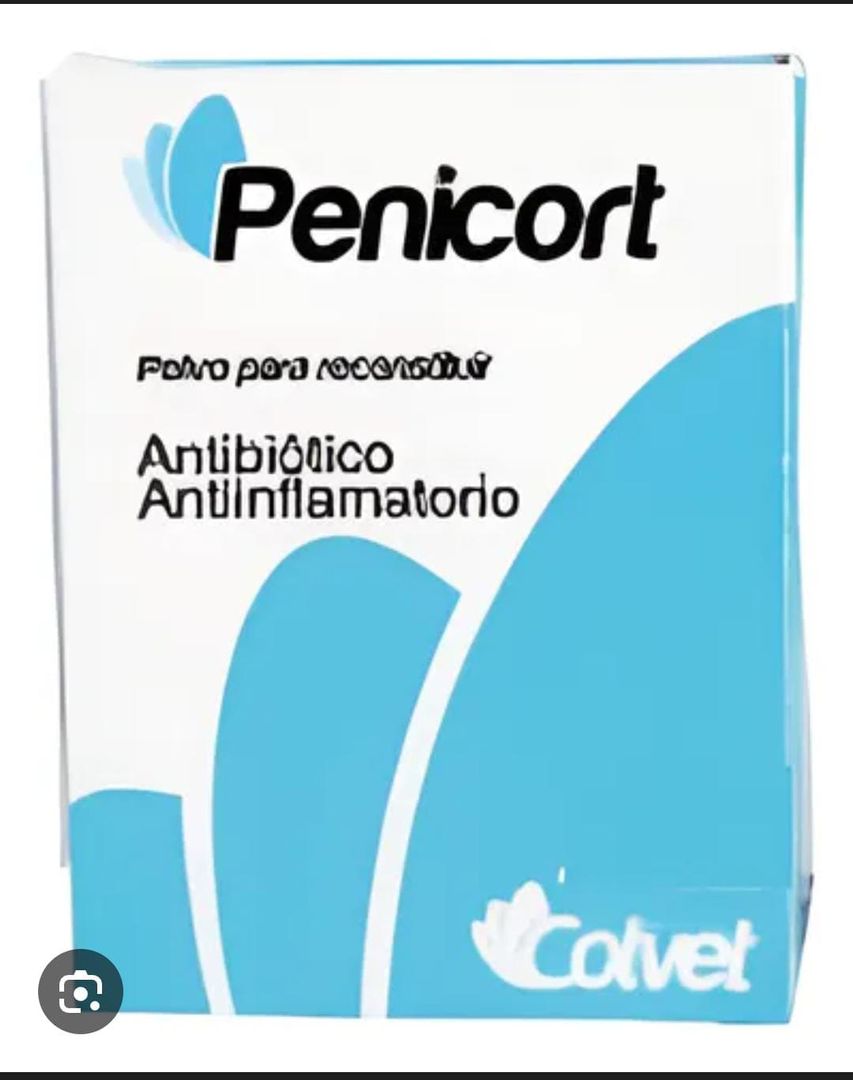 PENICORT DE 6.000.000 X 20ML