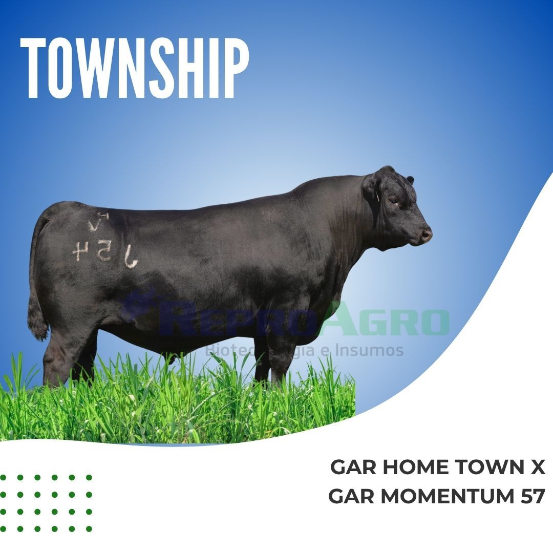 TOWNSHIP