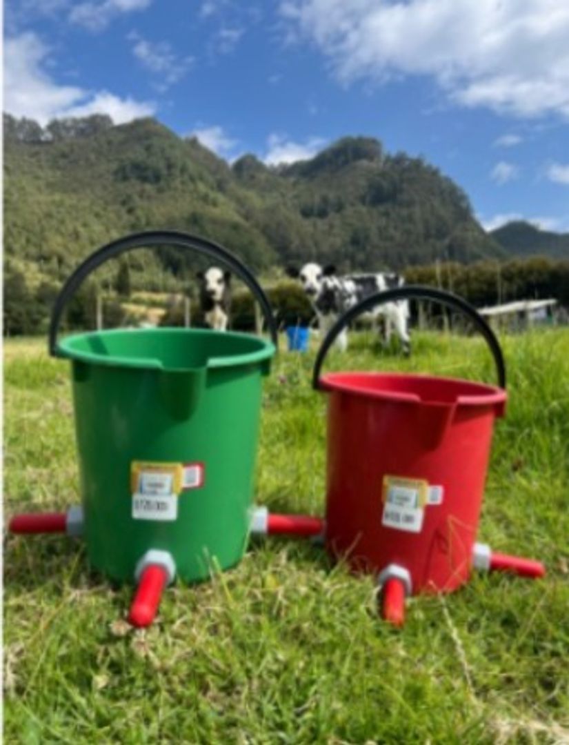 BALDE NODRIZA PARA TRES TERNERAS