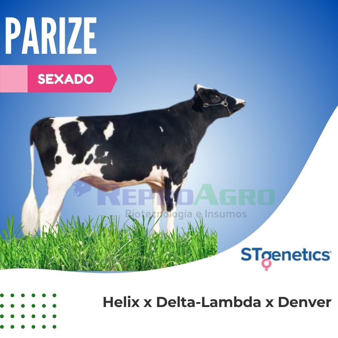 PARIZE SEXADO
