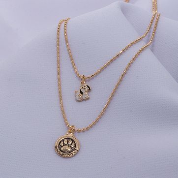 Imagen del producto COLLAR MEDALLA DIJE DOG 40CM 718024A207