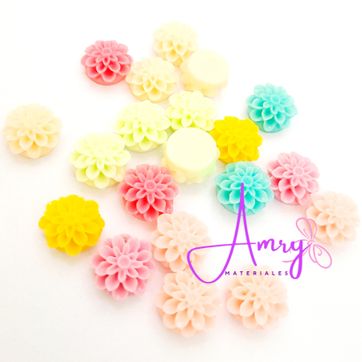 Imagen del producto 20 Suculentas 1cm Surtidas 