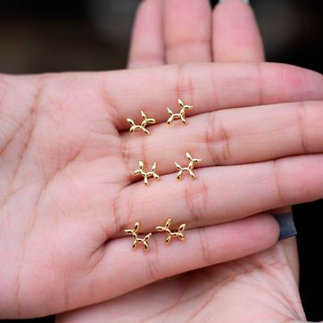 A Balloon Dog - imagen 3