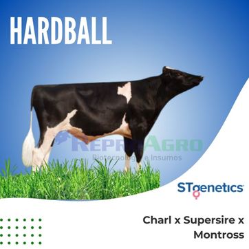 HARDBALL - imagen 1